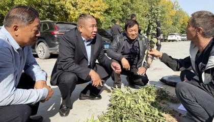 全疆首家！石河子中药材交易中心开市