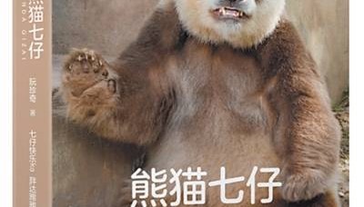 一起来拍彩色照片吧