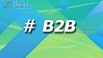 B2B撮合交易平台搭建费用全攻略：数商云如何助力企业实现长期价值？