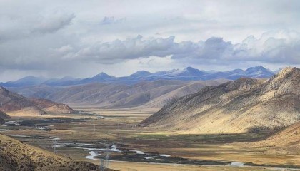 错愕的定义与用法