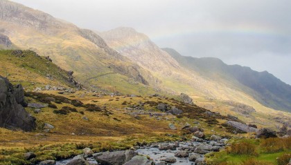 “CEO的定义及解释”
