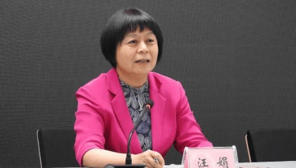 汪娟，严重违反党的政治纪律、组织纪律、廉洁纪律和工作纪律