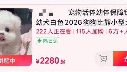 告别“买宠开盲盒”！6月以来平台密集出拳，宠物交易迎来大洗牌