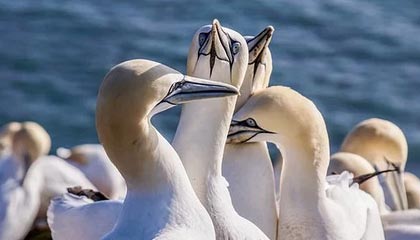 江西省宜春市政府部分领导分工调