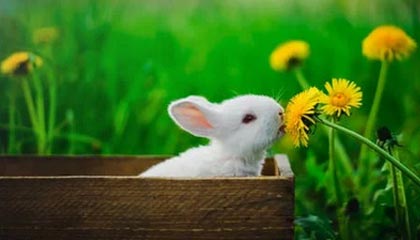 南财早新闻|2025中国互联网企业家座谈会召开;中国电商App霸榜美国下载前三