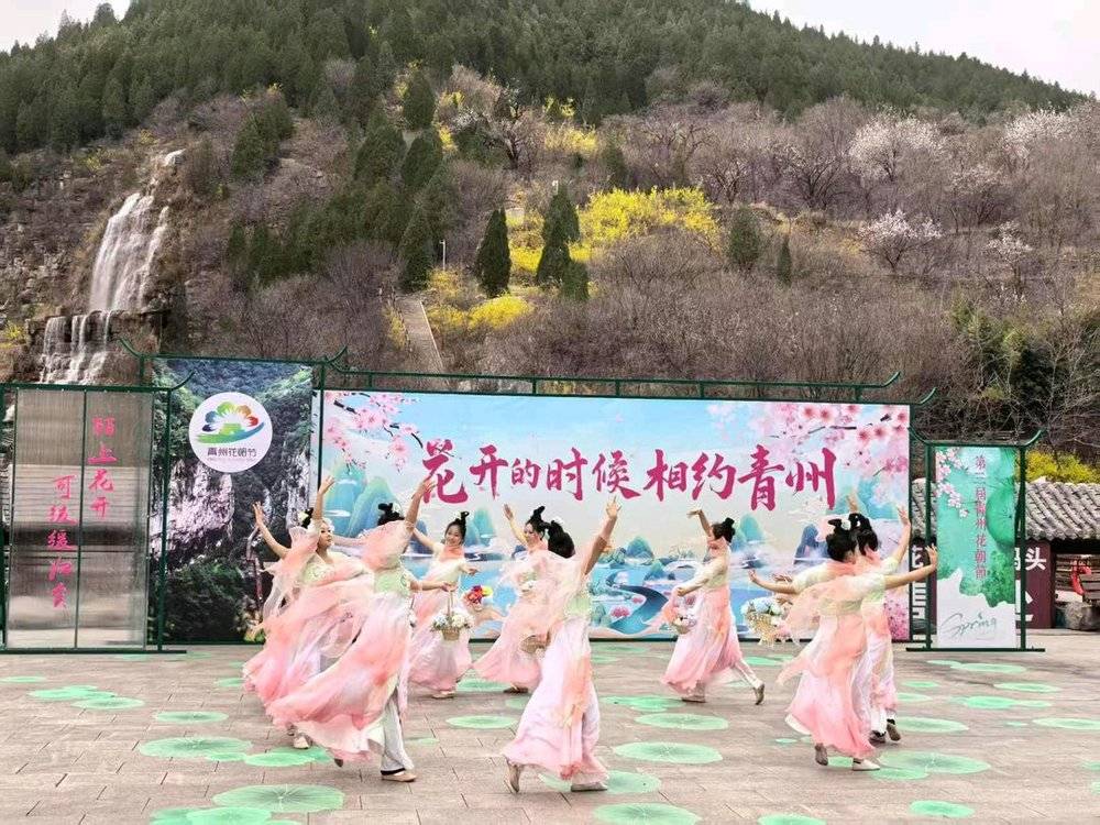 潍坊青州：以花为媒，打造春日消费新场景