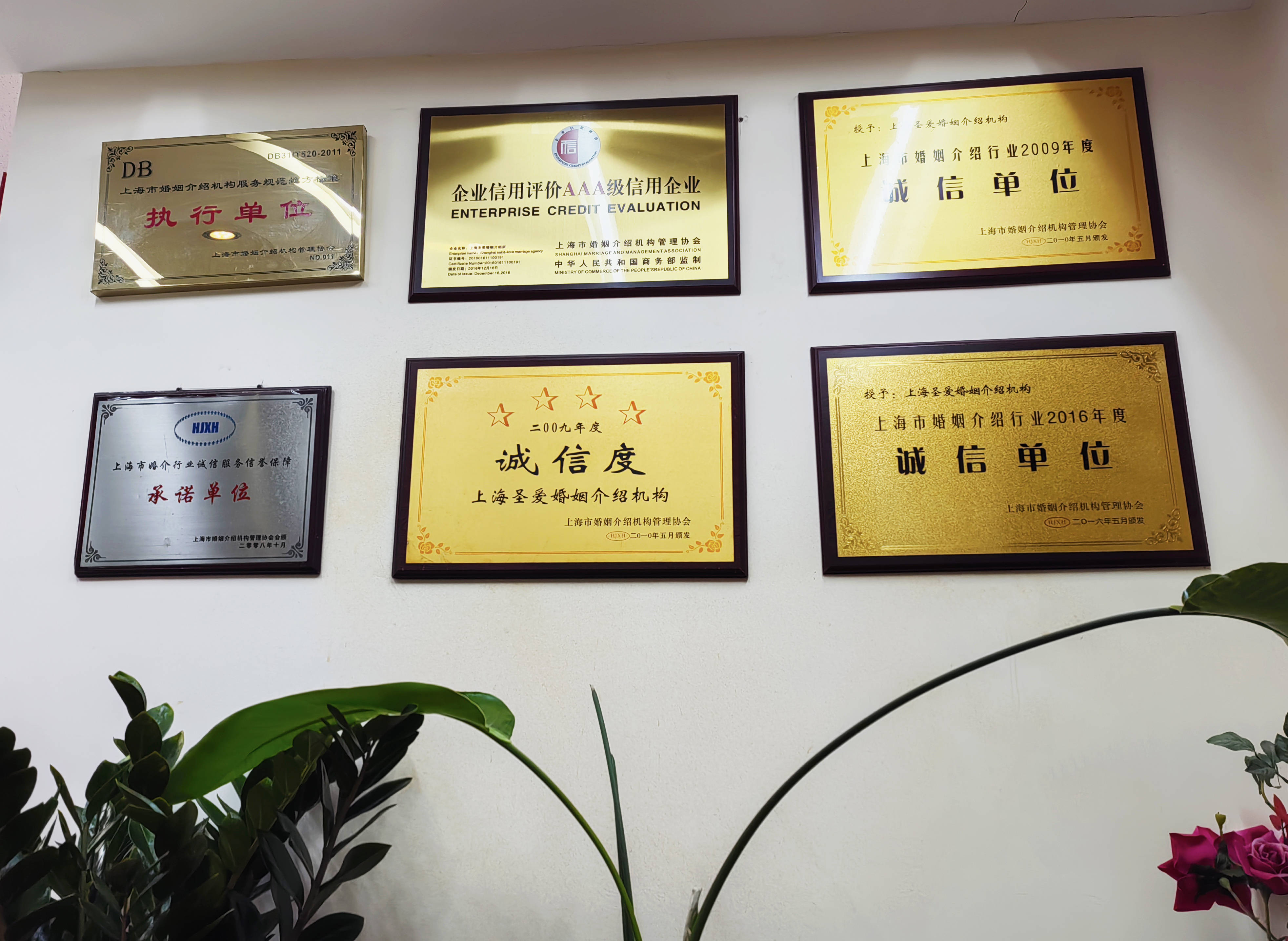 线下相亲平台推荐，上海诚信相亲平台多少钱一次？