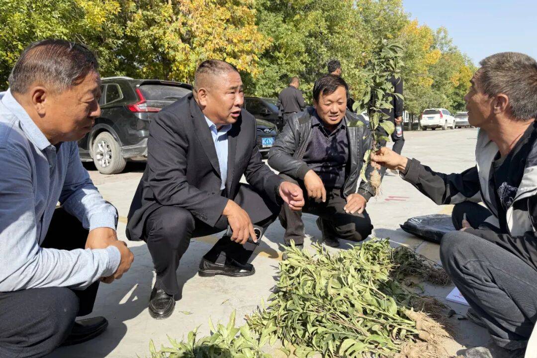 全疆首家！石河子中药材交易中心开市