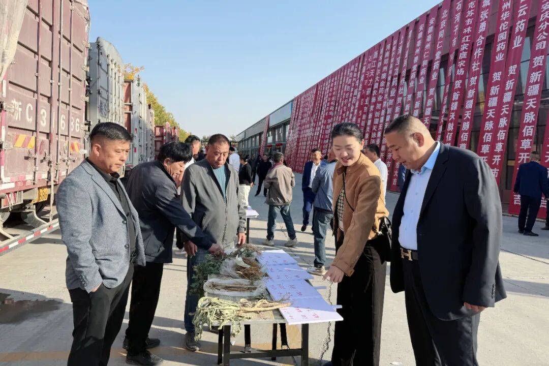 全疆首家！石河子中药材交易中心开市