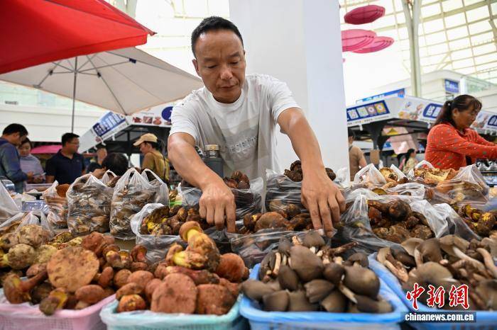 云南·南华国际野生菌交易中心供销两旺