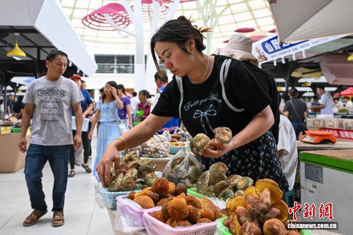 云南·南华国际野生菌交易中心供销两旺