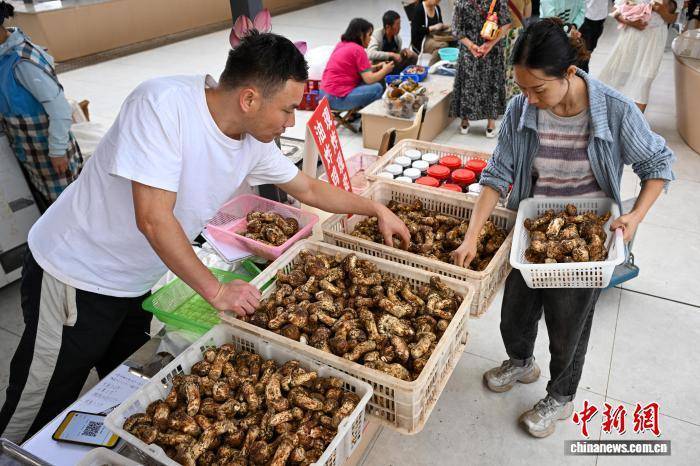 云南·南华国际野生菌交易中心供销两旺