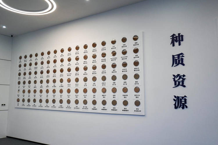 阿坝典范 开局突破｜政企研协同发力 红原牧草交易中心开拓牧旅融合新路径