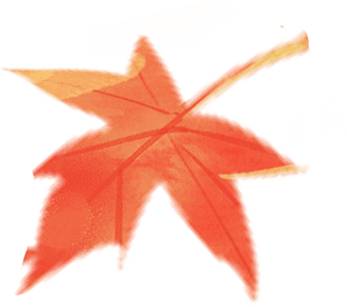 未婚同居?对女生弊大于利?厦门鱼友:“婚前试爱,结局往往事与愿违”…