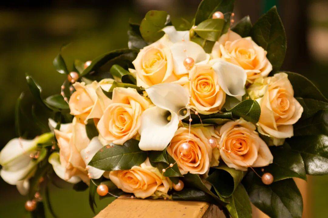 未婚同居?对女生弊大于利?厦门鱼友:“婚前试爱,结局往往事与愿违”…