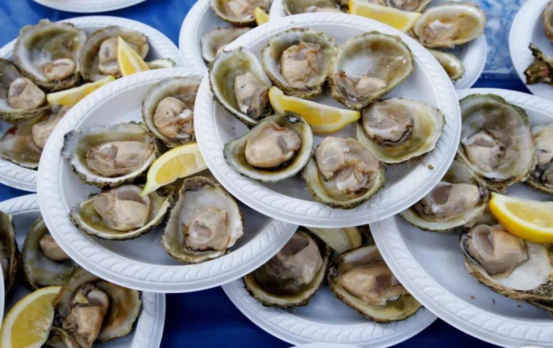 在新西兰捡海带卖,重罚万纽币!网友群嘲