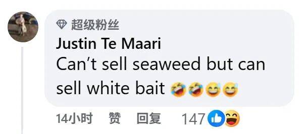 在新西兰捡海带卖,重罚万纽币!网友群嘲