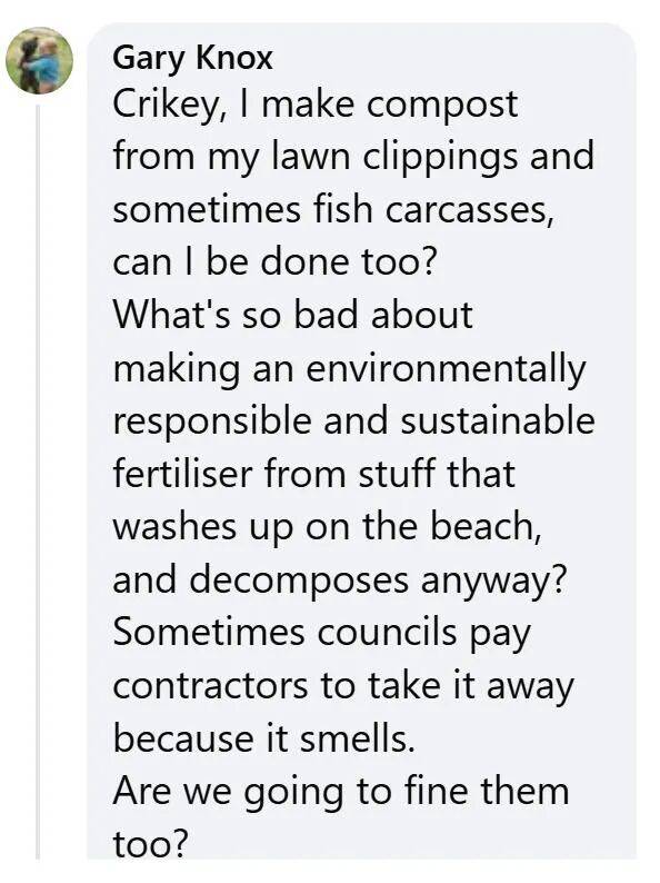 在新西兰捡海带卖,重罚万纽币!网友群嘲