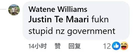 在新西兰捡海带卖,重罚万纽币!网友群嘲