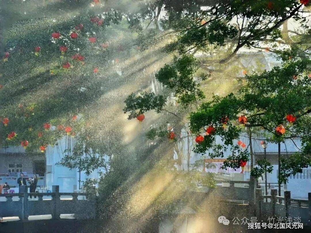 数字人民币一文通