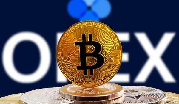 法币网(法币网游) 法币网(法币网游)